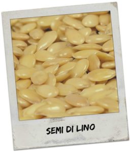Semi di lino
